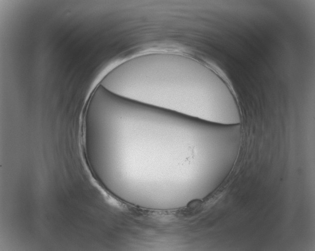 X0000082141103200701190951