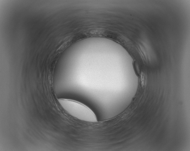 X0000082141107200701190950