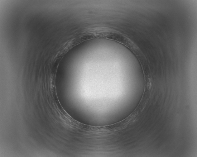 X0000082141108200701190950