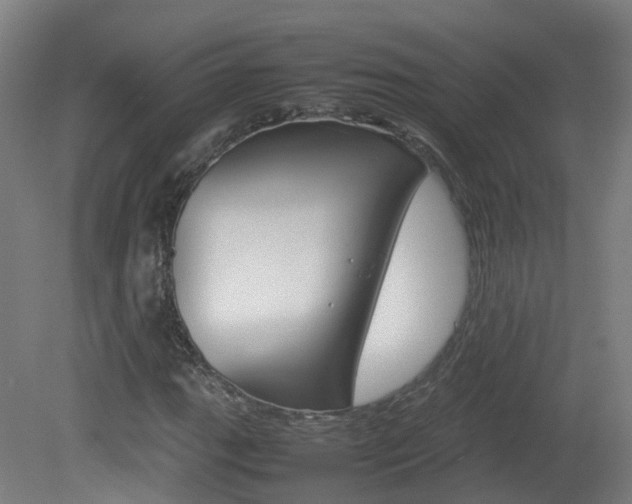 X0000082141111200701190950