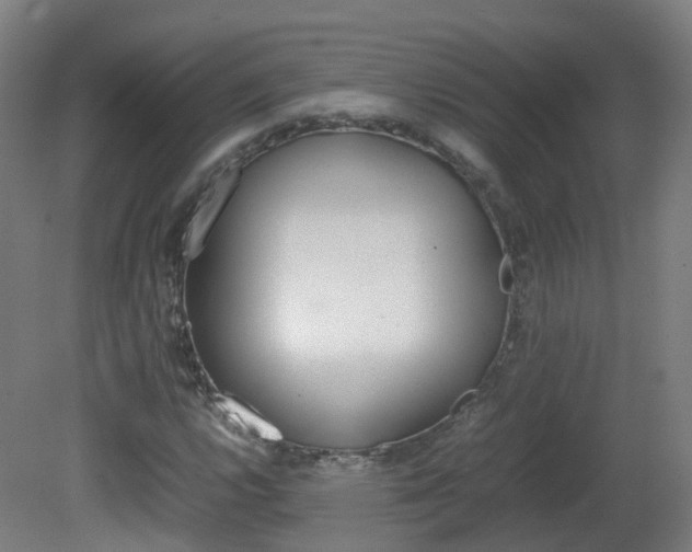 X0000082141112200701190950