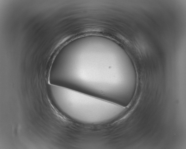 X0000082141113200701190950
