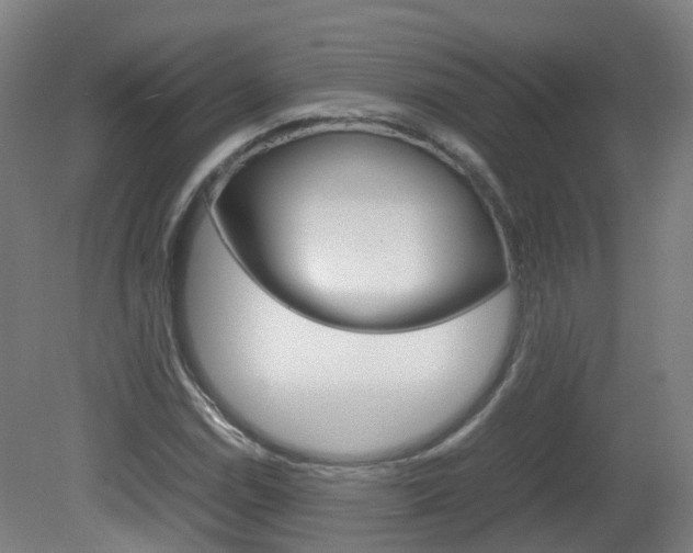 X0000082141114200701190950