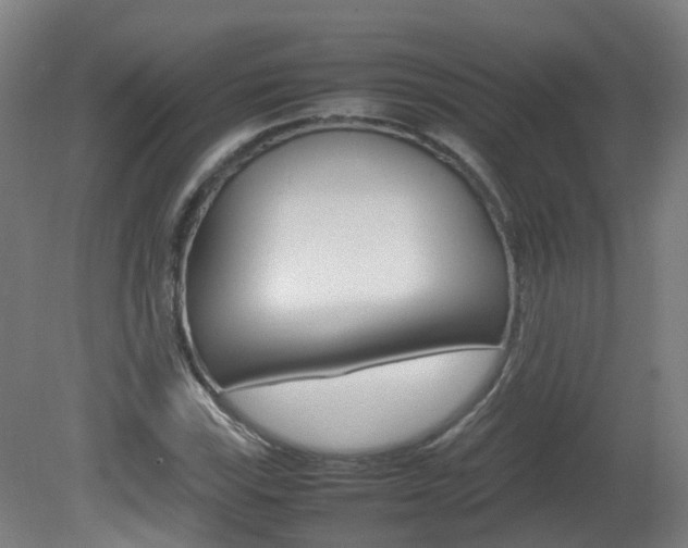 X0000082141115200701190951