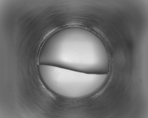 X0000082141121200701190951