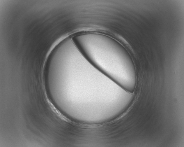X0000082141122200701190951