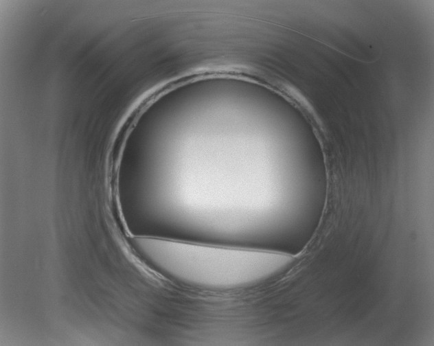 X0000082141124200701190951
