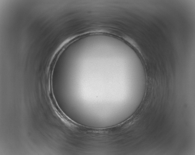 X0000082141127200701190951