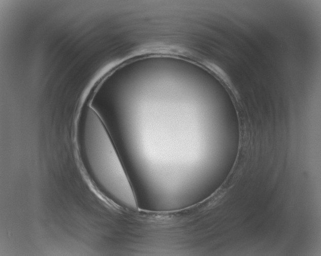 X0000082141128200701190951