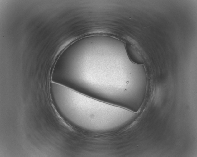X0000082141129200701190951