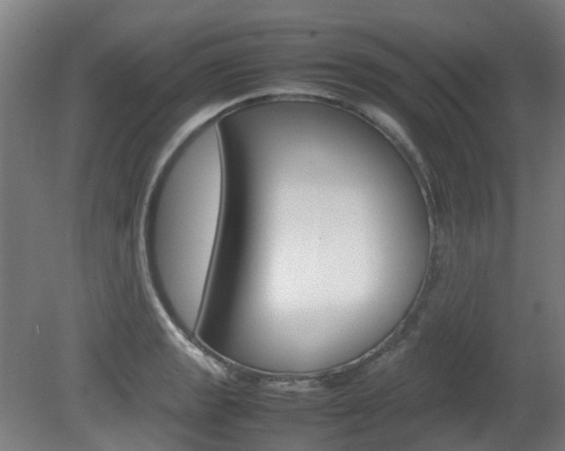 X0000082141133200701190951