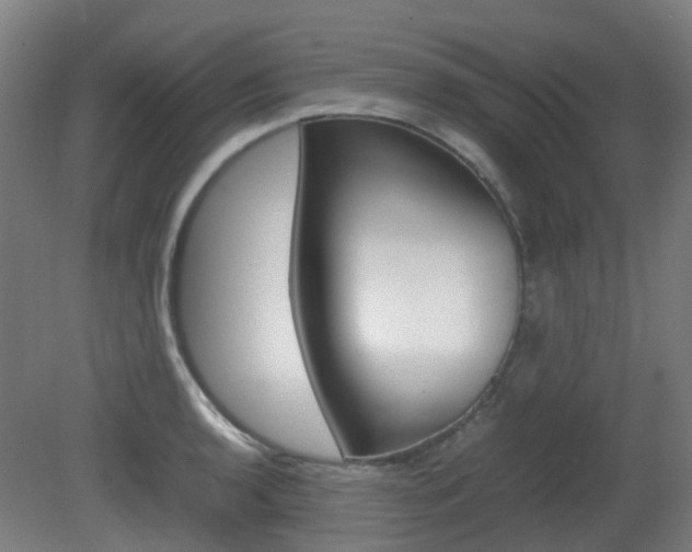 X0000082141136200701190951
