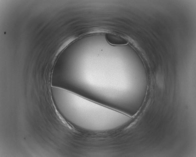 X0000082141137200701190951