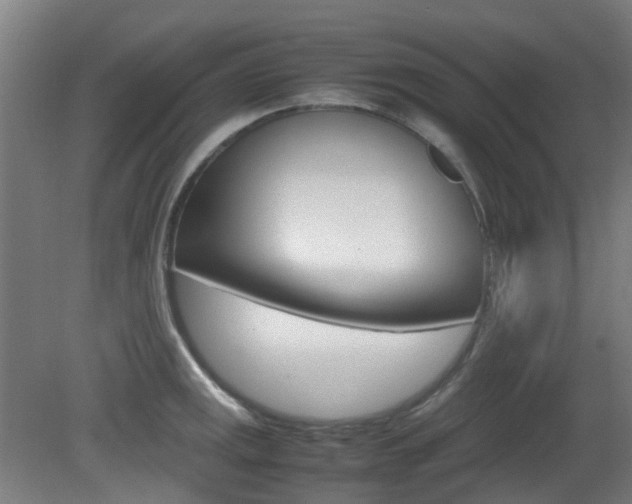 X0000082141141200701190951