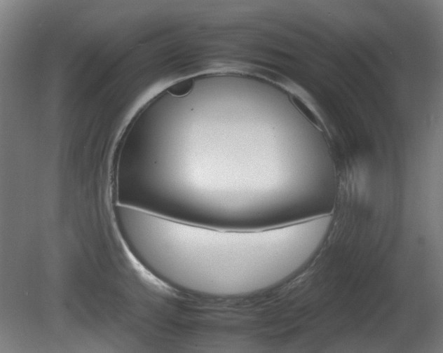 X0000082141143200701190951