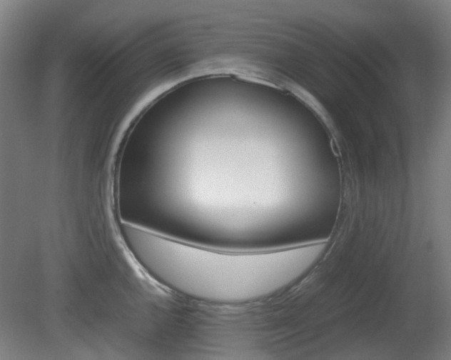 X0000082141144200701190951