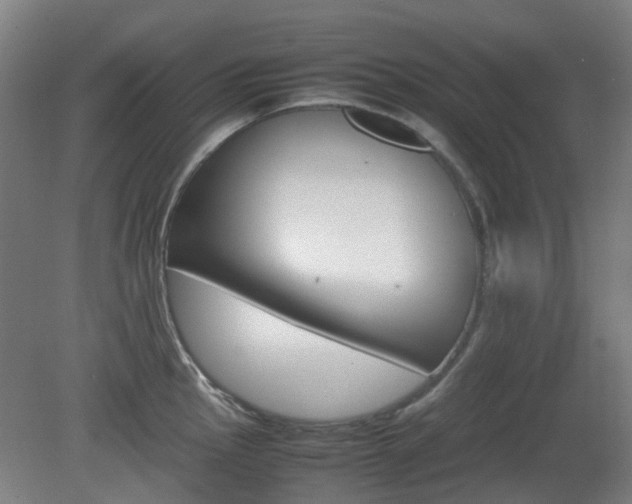 X0000082141145200701190951