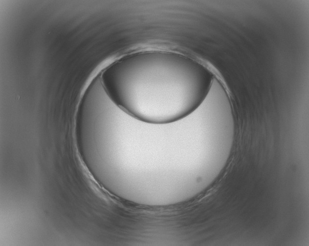 X0000082141146200701190951