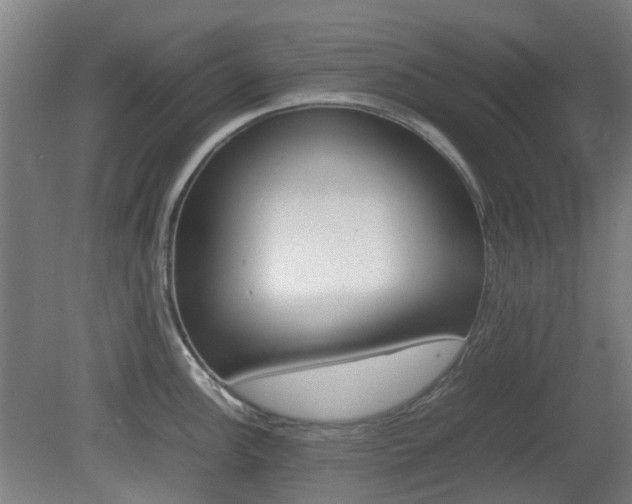 X0000082141148200701190951