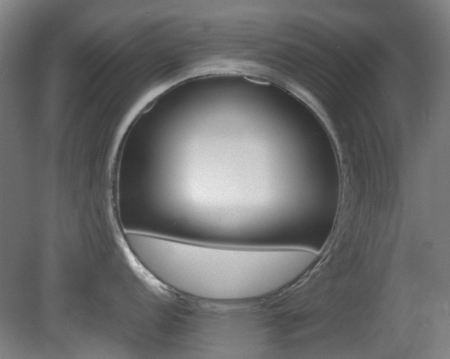 X0000082141152200701190951