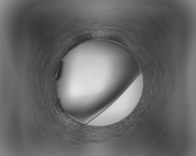 X0000082141153200701190950