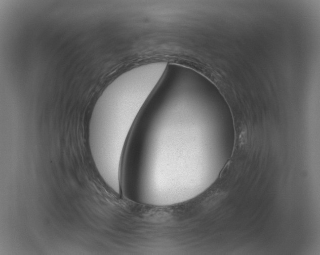 X0000082141156200701190950