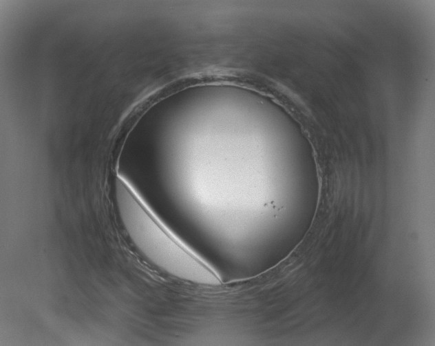 X0000082141160200701190950
