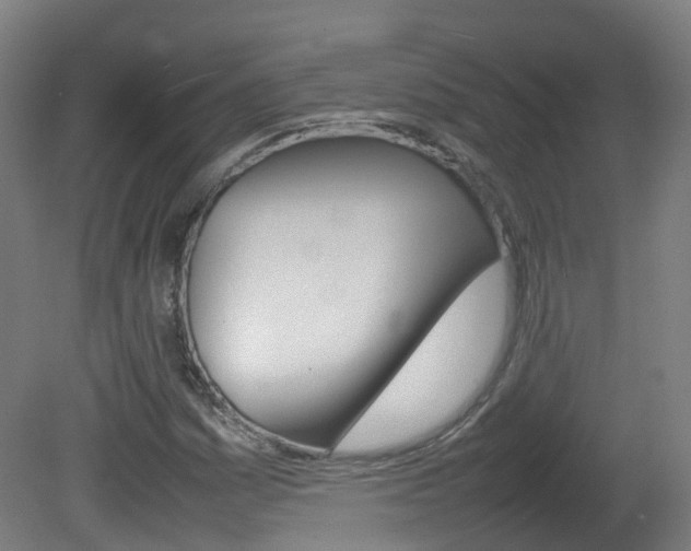 X0000082141161200701190950