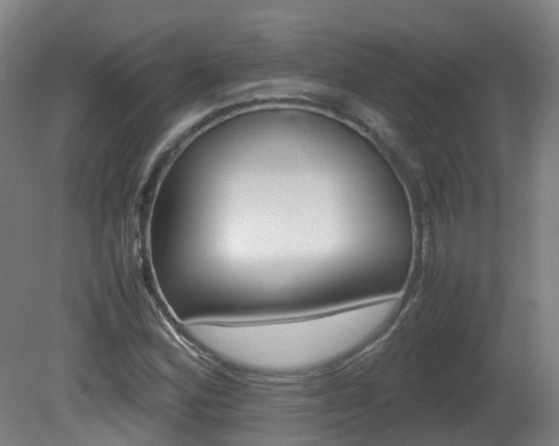 X0000082141164200701190950