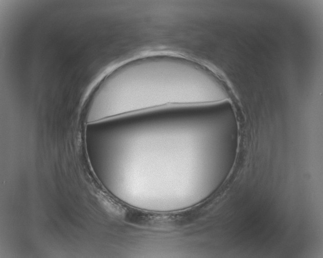 X0000082141167200701190950