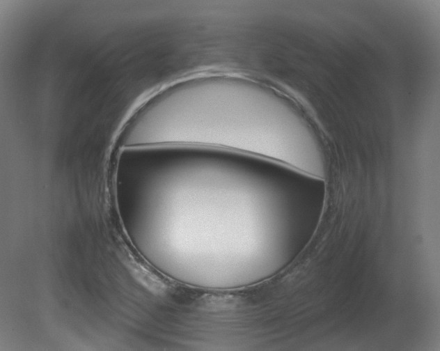 X0000082141168200701190950
