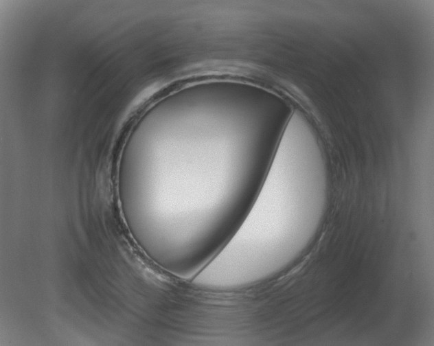 X0000082141172200701190950