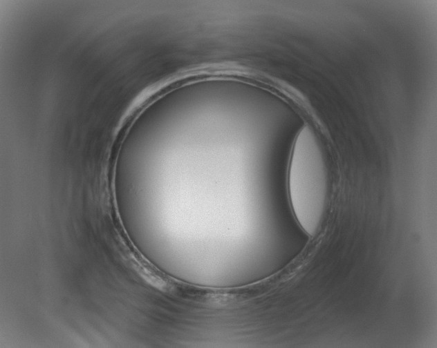 X0000082141176200701190950