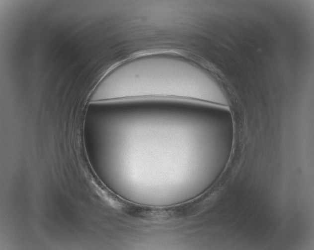 X0000082141177200701190950