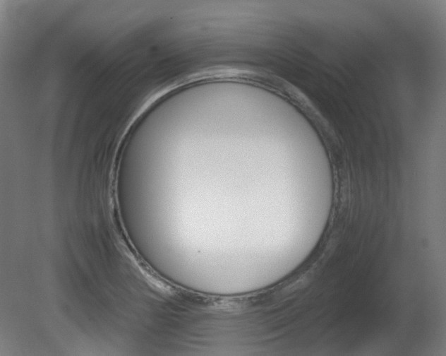 X0000082141178200701190950