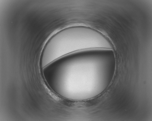 X0000082141181200701190950