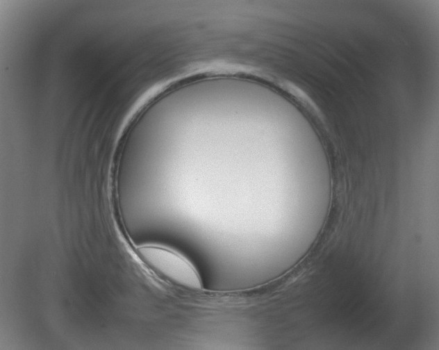 X0000082141183200701190950