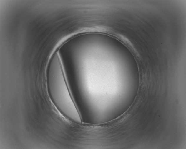 X0000082141184200701190950