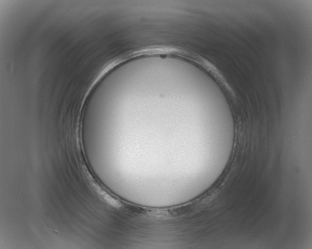 X0000082141186200701190950