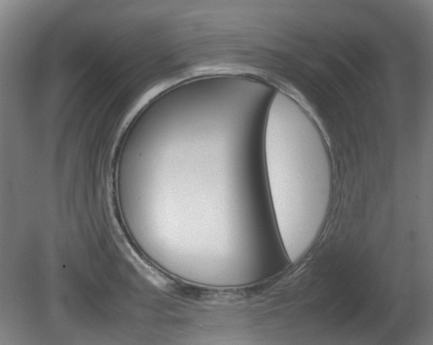 X0000082141187200701190950