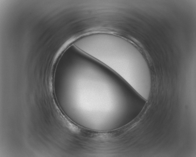 X0000082141188200701190950
