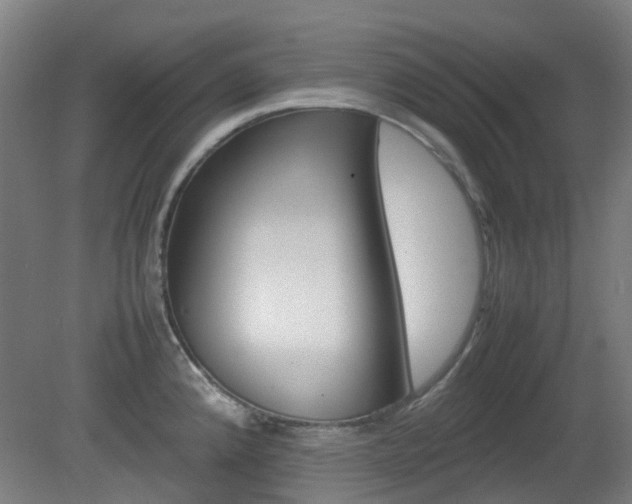 X0000082141192200701190950