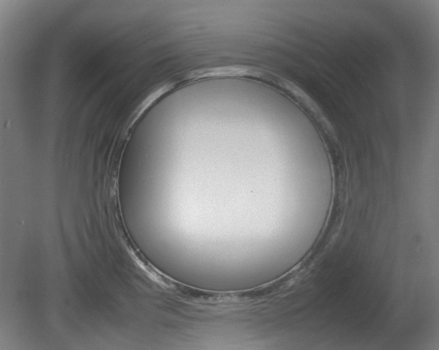 X0000082141193200701190950