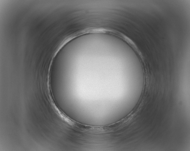 X0000082141194200701190950