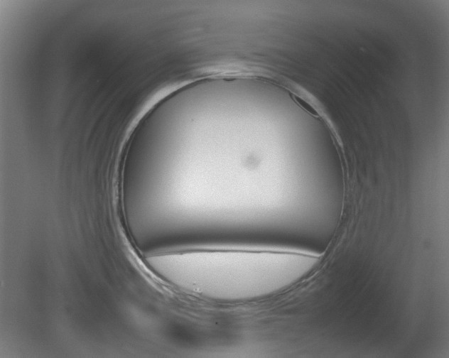 X0000082141195200701190950
