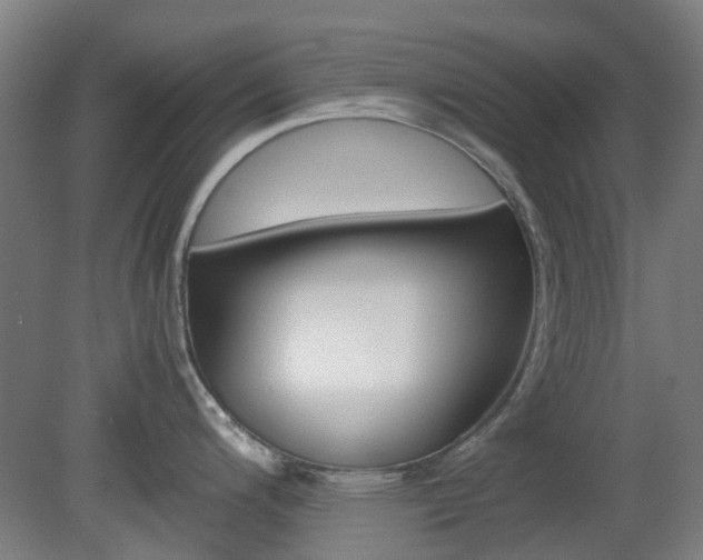 X0000082141200200701190950