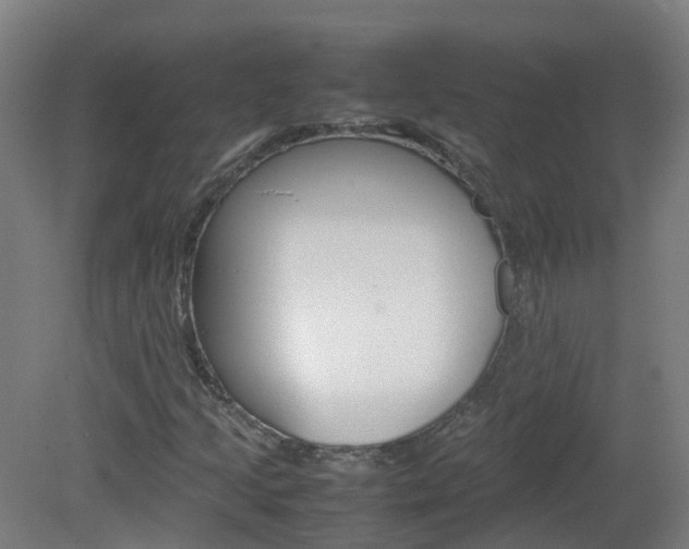 X0000082141205200701190949