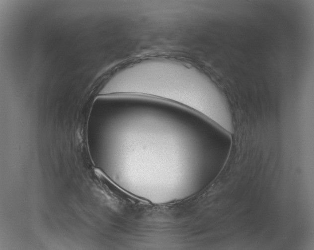 X0000082141206200701190949