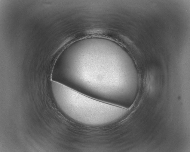 X0000082141209200701190949