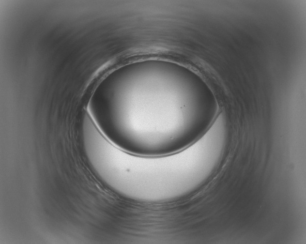 X0000082141210200701190949